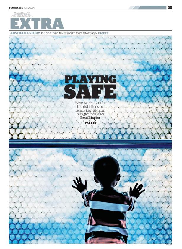 Biegler risky play the age 20 5 18 cover-page-001