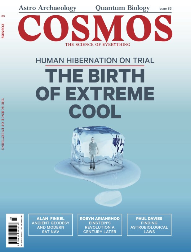 Birth of extreme cool cover.jpg